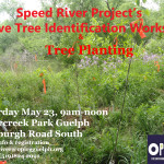 Native Tree Identification Workshop & Tree Planting