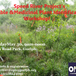 Edible and Medicinal plant Identification Workshop