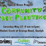 Community Tree Planting!