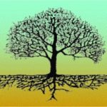 July 11 WORKSHOP: Self Care Tools for Activists