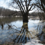 OPIRG Guelph’s 2Rivers Cleanup (Virtual)
