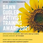 Dawn Gugler Activist Training Award – ACCEPTING APPLICATIONS