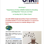 Upcoming Workshop: Importance of Urban Wildlife Habitat for Breeding and Migration – How You Can Help!