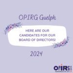 Board of Directors elections 2024 – Candidate profiles